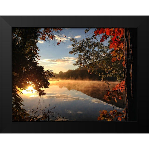 Trees and Water 4 Black Modern Wood Framed Art Print by Lee, Rachel