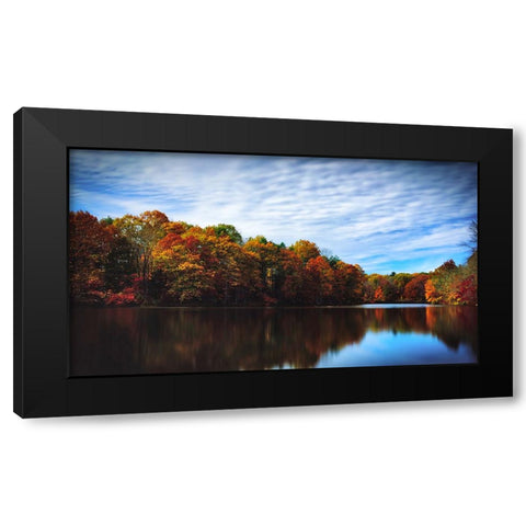 Trees and Water 5 Black Modern Wood Framed Art Print with Double Matting by Lee, Rachel