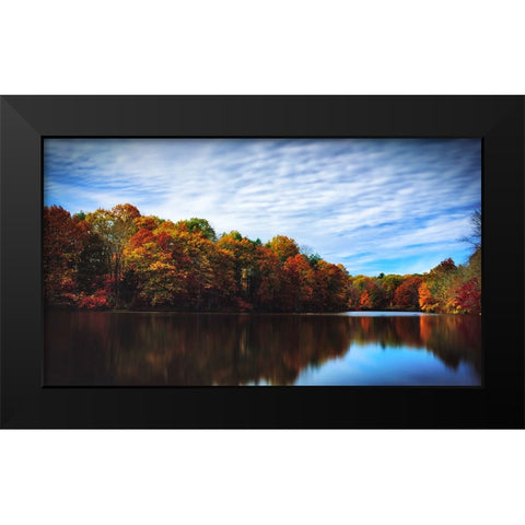Trees and Water 5 Black Modern Wood Framed Art Print by Lee, Rachel