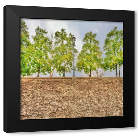Vine Wall And Trees Black Modern Wood Framed Art Print with Double Matting by Lee, Rachel
