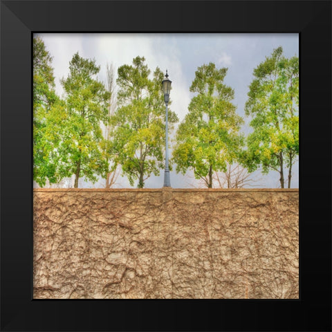 Vine Wall And Trees Black Modern Wood Framed Art Print by Lee, Rachel