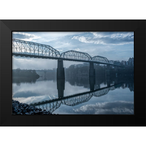 Walnut Early Light Black Modern Wood Framed Art Print by Lee, Rachel