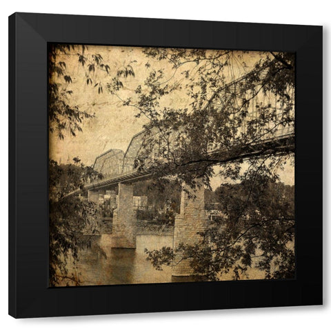 Walnut From South Textured Black Modern Wood Framed Art Print by Lee, Rachel