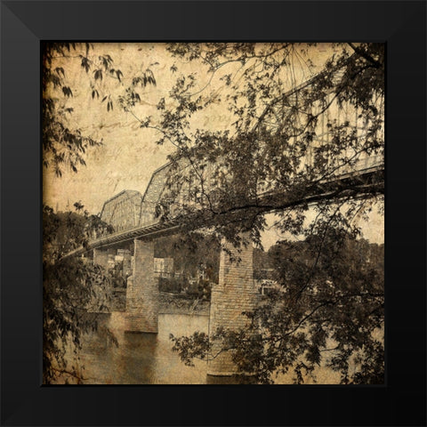 Walnut From South Textured Black Modern Wood Framed Art Print by Lee, Rachel