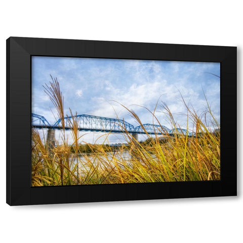 Walnut Grass Black Modern Wood Framed Art Print with Double Matting by Lee, Rachel