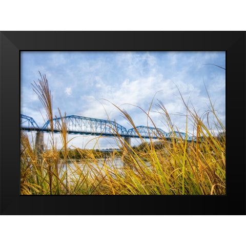 Walnut Grass Black Modern Wood Framed Art Print by Lee, Rachel