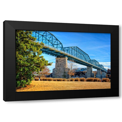 Walnut Warm Black Modern Wood Framed Art Print by Lee, Rachel