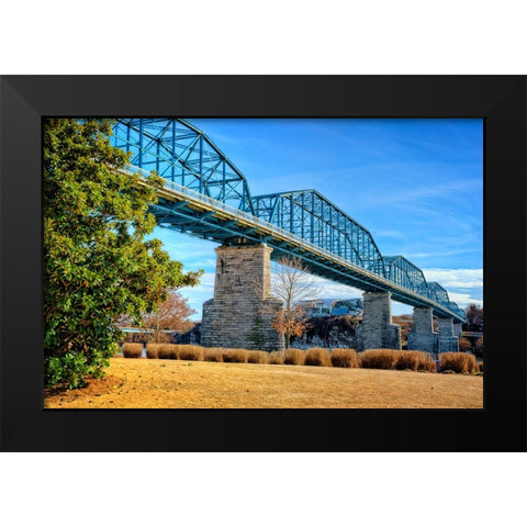Walnut Warm Black Modern Wood Framed Art Print by Lee, Rachel