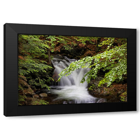 Waterfall 6 Black Modern Wood Framed Art Print with Double Matting by Lee, Rachel