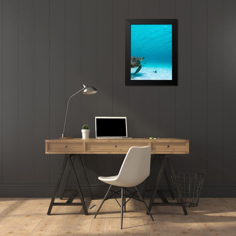 Wildlife 16 Black Modern Wood Framed Art Print by Lee, Rachel