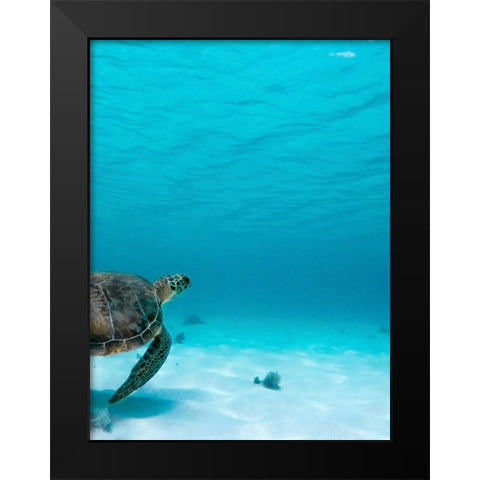 Wildlife 16 Black Modern Wood Framed Art Print by Lee, Rachel