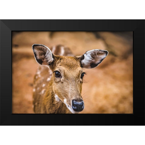 Wildlife 8 Black Modern Wood Framed Art Print by Lee, Rachel