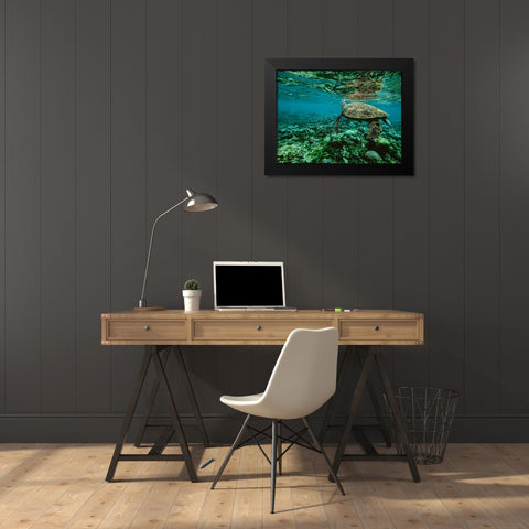 Wildlife 9 Black Modern Wood Framed Art Print by Lee, Rachel