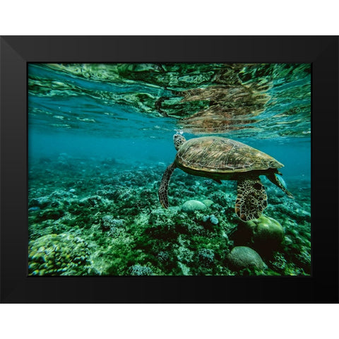 Wildlife 9 Black Modern Wood Framed Art Print by Lee, Rachel