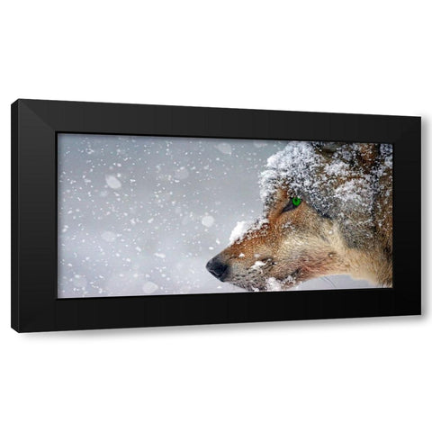 Wolf Black Modern Wood Framed Art Print with Double Matting by Lee, Rachel