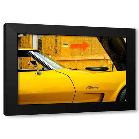 Stingray Black Modern Wood Framed Art Print with Double Matting by Malone, Will