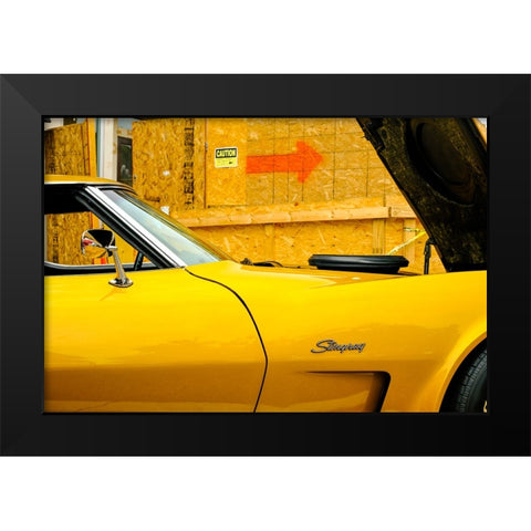 Stingray Black Modern Wood Framed Art Print by Malone, Will