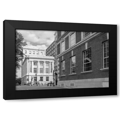 Summer Walk BW Black Modern Wood Framed Art Print by Malone, Will