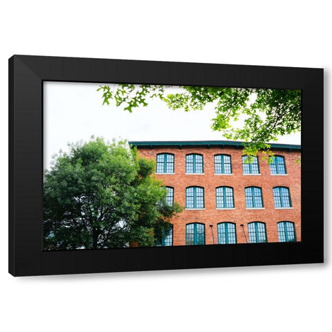 Sunny Windows Black Modern Wood Framed Art Print with Double Matting by Malone, Will