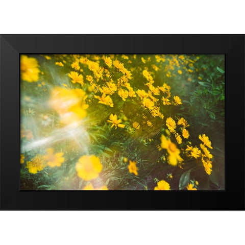 Springtime Black Modern Wood Framed Art Print by Malone, Will