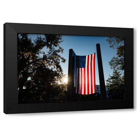 America 2 Black Modern Wood Framed Art Print by Malone, Will