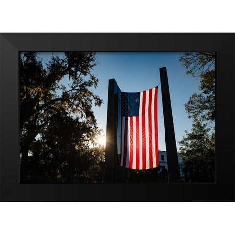 America 2 Black Modern Wood Framed Art Print by Malone, Will