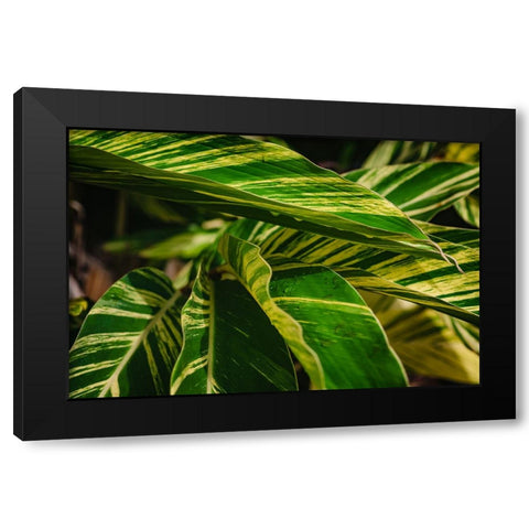 Green Black Modern Wood Framed Art Print with Double Matting by Malone, Will