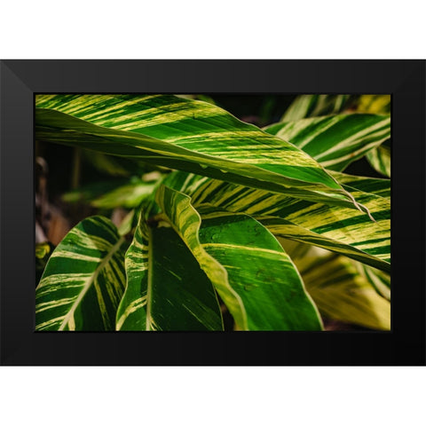 Green Black Modern Wood Framed Art Print by Malone, Will