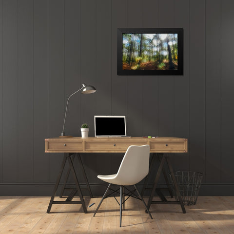 Blurry Forest Black Modern Wood Framed Art Print by Malone, Will