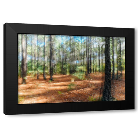 Blurry Forest 2 Black Modern Wood Framed Art Print by Malone, Will