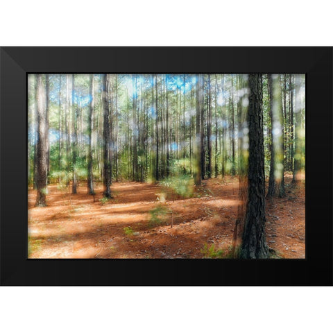 Blurry Forest 2 Black Modern Wood Framed Art Print by Malone, Will