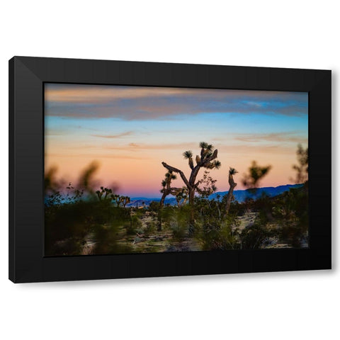Sunset Dance Black Modern Wood Framed Art Print by Malone, Will