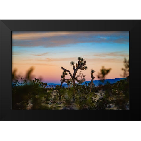 Sunset Dance Black Modern Wood Framed Art Print by Malone, Will