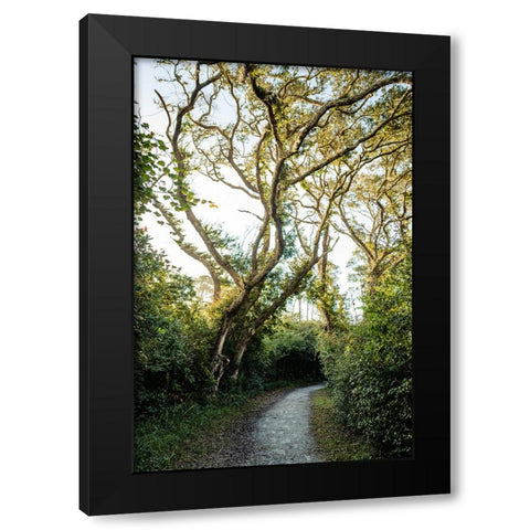 Pathway Black Modern Wood Framed Art Print by Malone, Will
