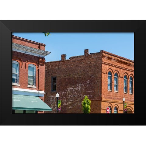 Spearmint Black Modern Wood Framed Art Print by Malone, Will