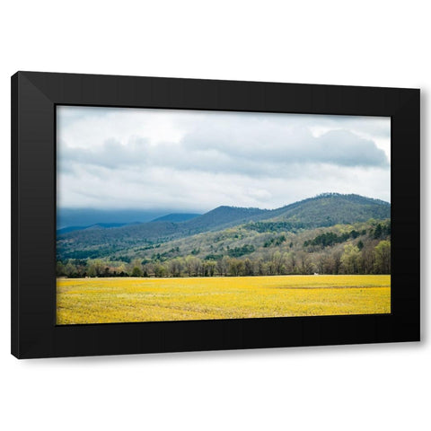 Yellow Fields Black Modern Wood Framed Art Print with Double Matting by Malone, Will