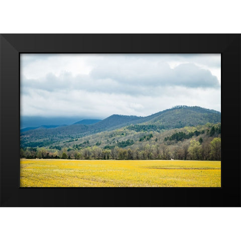 Yellow Fields Black Modern Wood Framed Art Print by Malone, Will