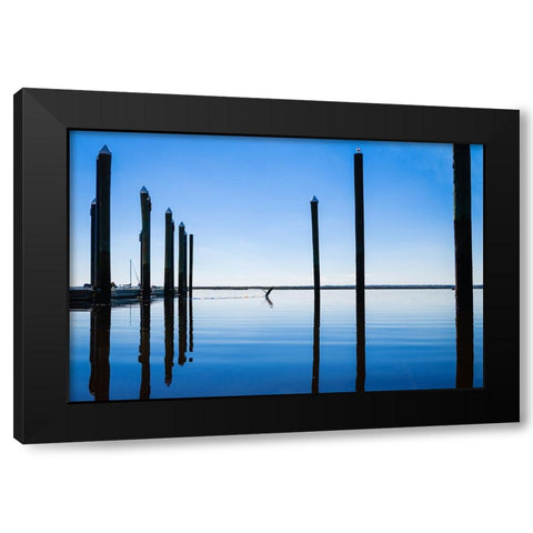 Take Flight Black Modern Wood Framed Art Print with Double Matting by Malone, Will