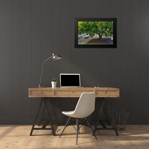 Camaro Through The Park Black Modern Wood Framed Art Print by Malone, Will