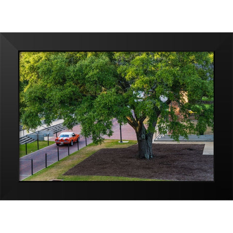 Camaro Through The Park Black Modern Wood Framed Art Print by Malone, Will