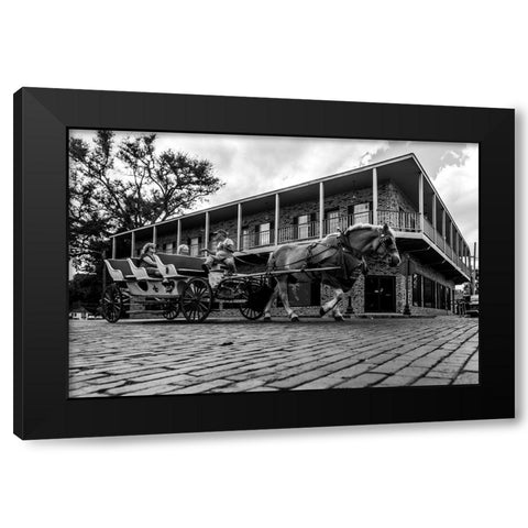 Horse Tour Black Modern Wood Framed Art Print by Malone, Will