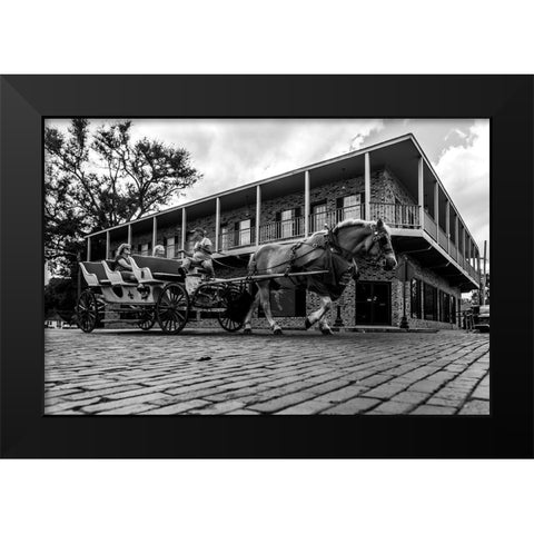 Horse Tour Black Modern Wood Framed Art Print by Malone, Will