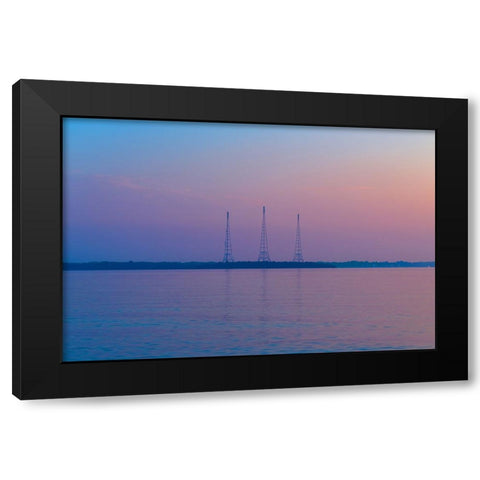 Antennae Black Modern Wood Framed Art Print by Malone, Will