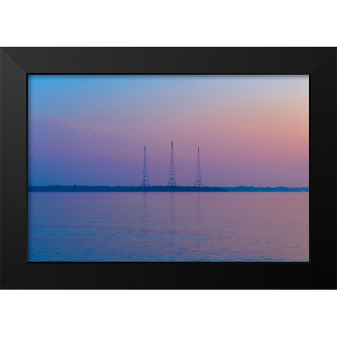 Antennae Black Modern Wood Framed Art Print by Malone, Will