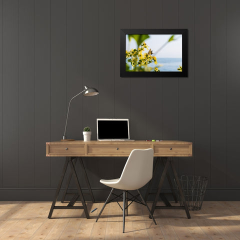 Monarch Black Modern Wood Framed Art Print by Malone, Will