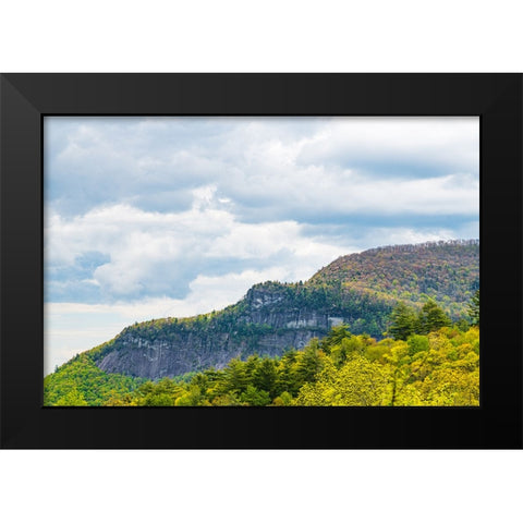 Ridge Black Modern Wood Framed Art Print by Malone, Will