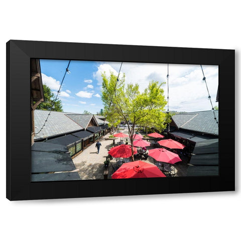 Sunny Lunch Black Modern Wood Framed Art Print with Double Matting by Malone, Will