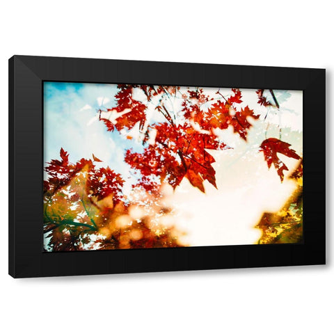 Autumn Leaves Black Modern Wood Framed Art Print with Double Matting by Malone, Will