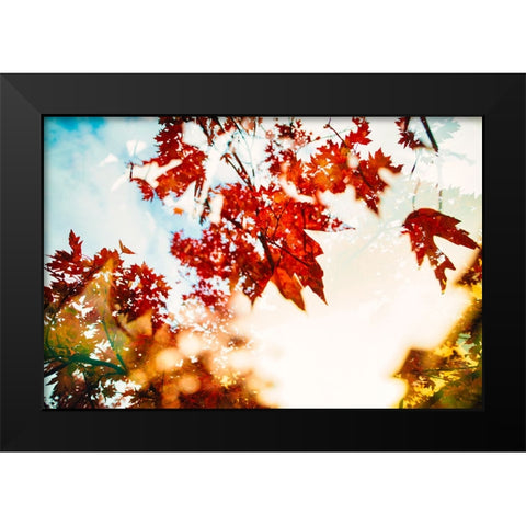 Autumn Leaves Black Modern Wood Framed Art Print by Malone, Will