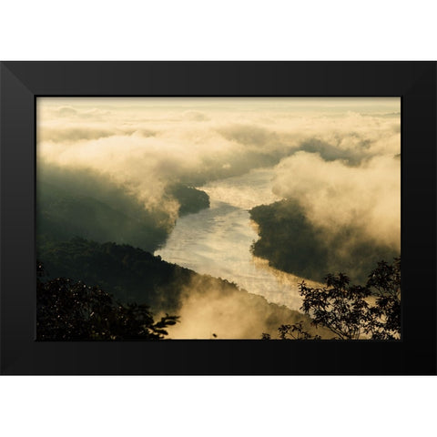 Golden Morning 2 Black Modern Wood Framed Art Print by Malone, Will